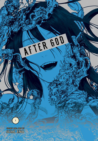 Mark Of The Fool Light Novel Volume 01