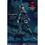 Batman - Catwoman Ninja Deluxe 1:6 Scale 12