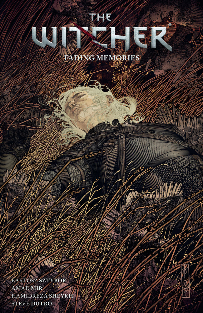 WITCHER TP VOL 5 FADING MEMORIES