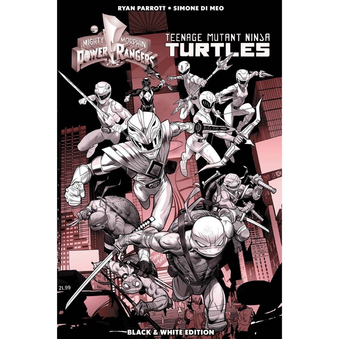 POWER RANGERS TEENAGE MUTANT NINJA TURTLES B&W HC